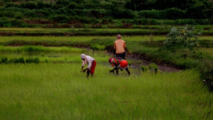 PM Fasal Bima Yojana